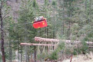 Woodliner 3000