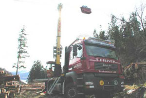 Mounty and Woodliner