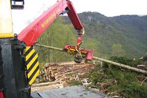 Woody60 aggregat